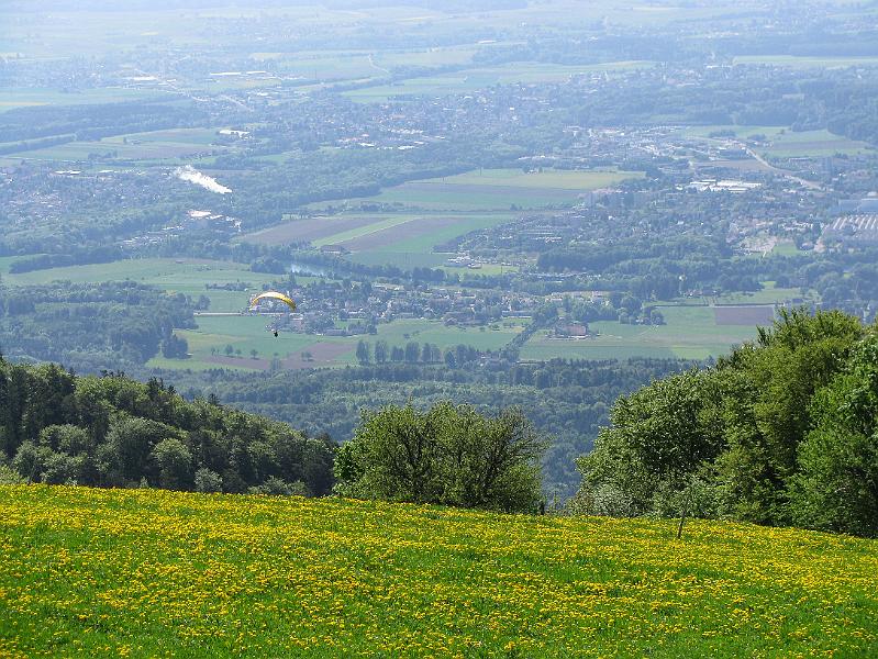 2009-05_Weissenstein 052.jpg